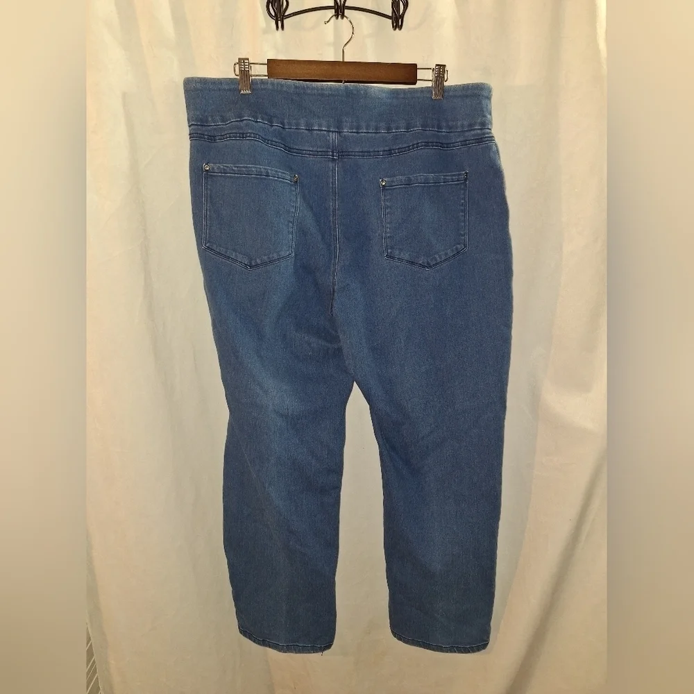 Time and Tru Blue Jeggings with Classic Style